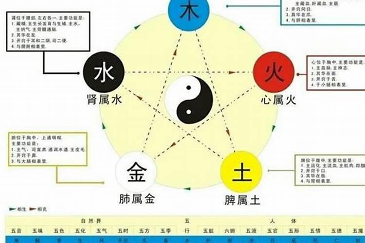 彩五行属什么