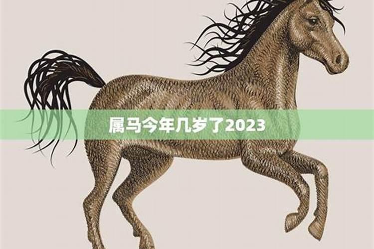 属马今年几岁2023