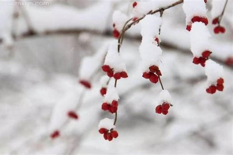 梦见下大雪意味着什么呢