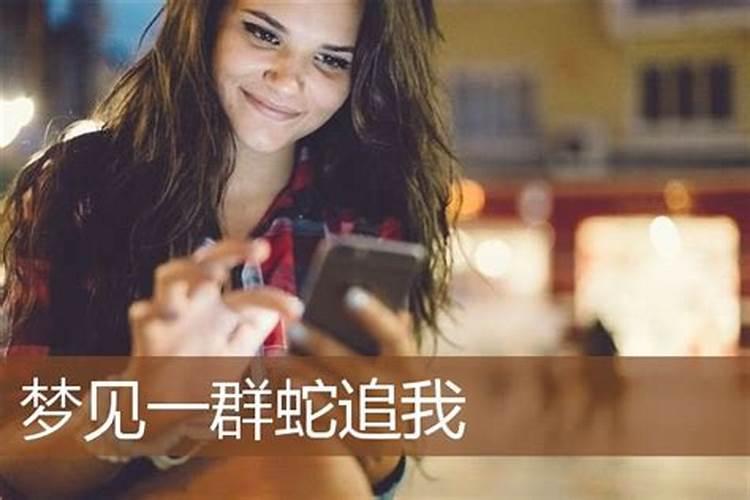 女人梦见一群蛇追着自己好不好