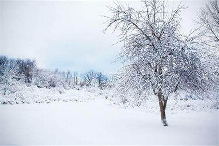 女生梦见下雪了什么预兆呢