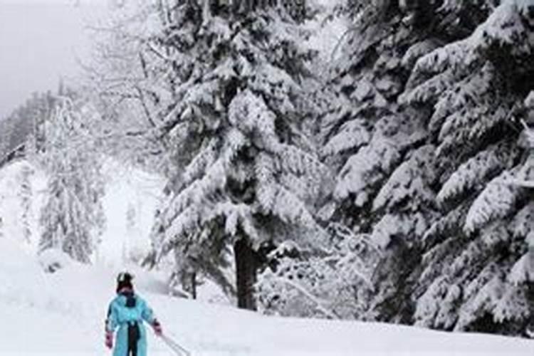 女人梦见下好大雪啥意思