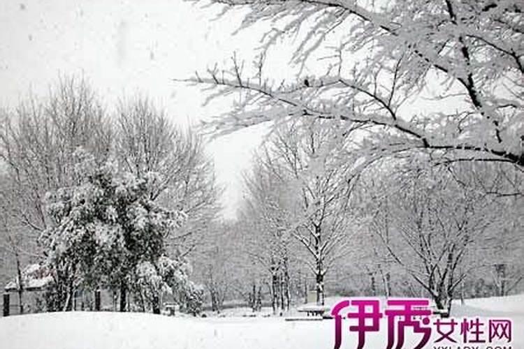 女孩梦到下雪天预视着什么预兆呢