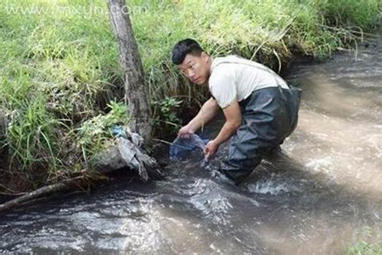 梦见在沙漠里抓鱼