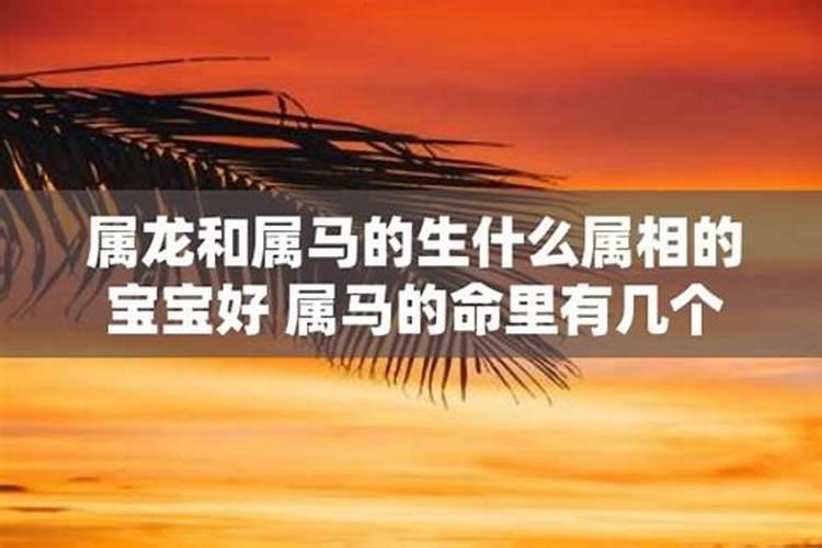 属龙和属马的生什么属相的宝宝好