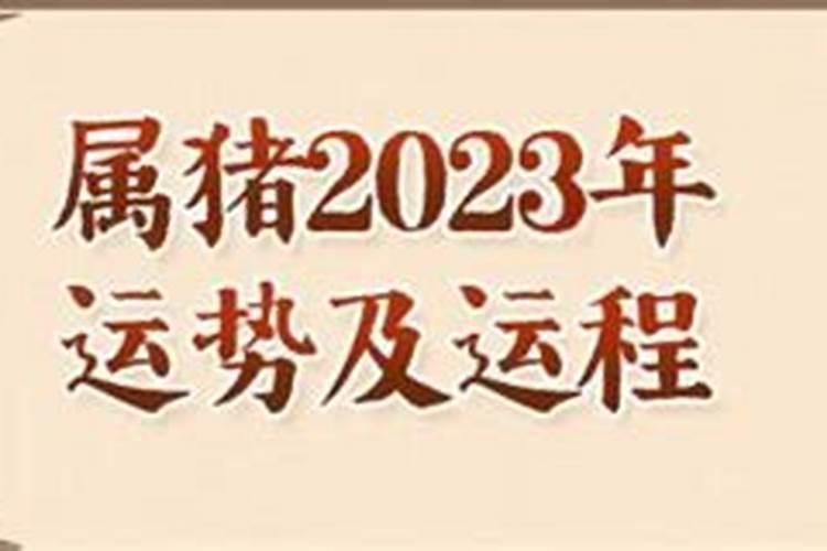 2023年属猪人的全年运势