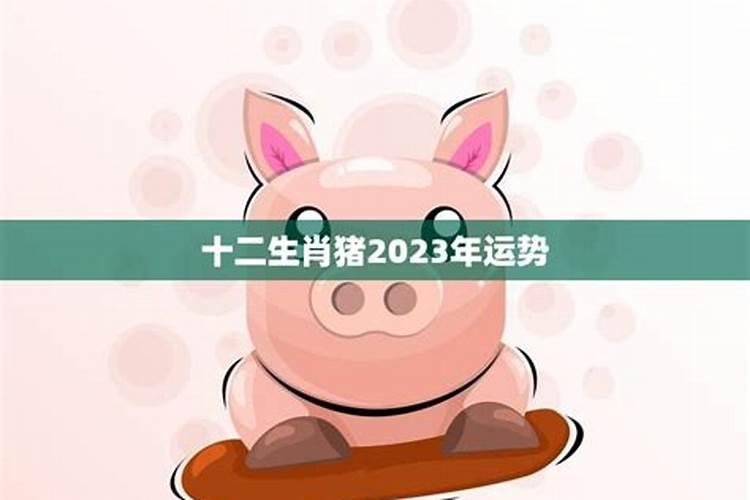 2023年属猪人的运势如何