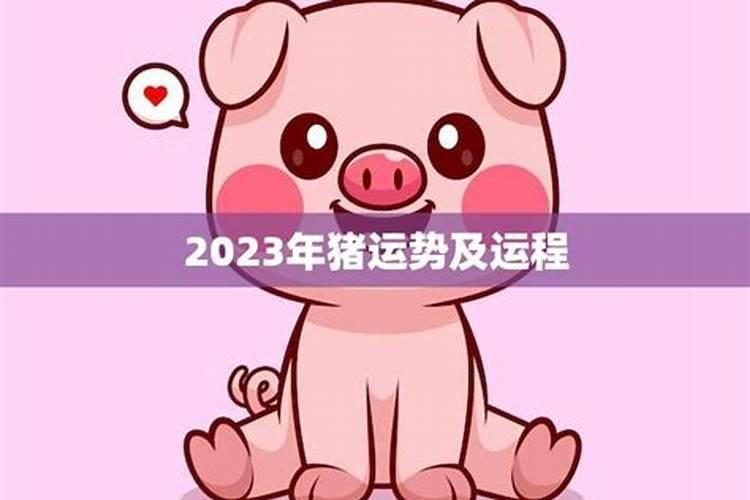 2023年生肖猪全年运势完整版