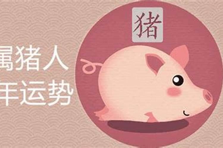 属猪今年财运如何2021