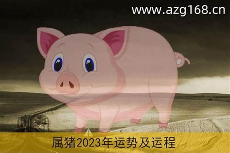 83年猪2023年运势