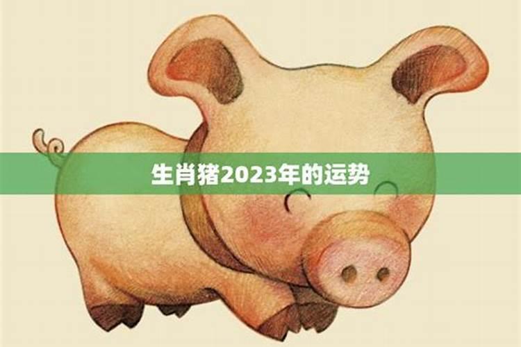 生肖猪在2023年的运势