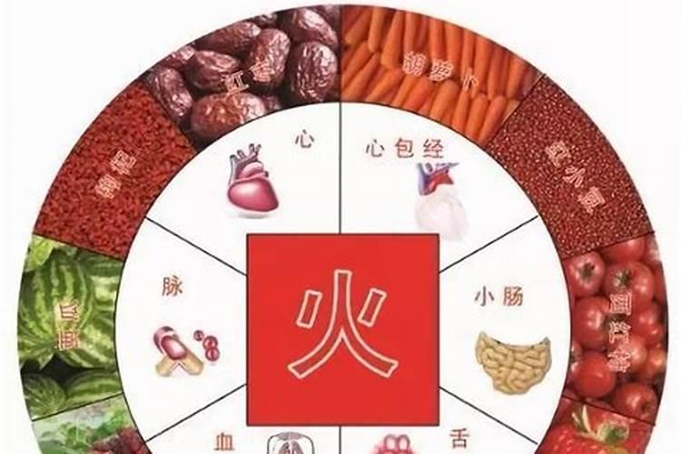 冷冻肉五行属什么