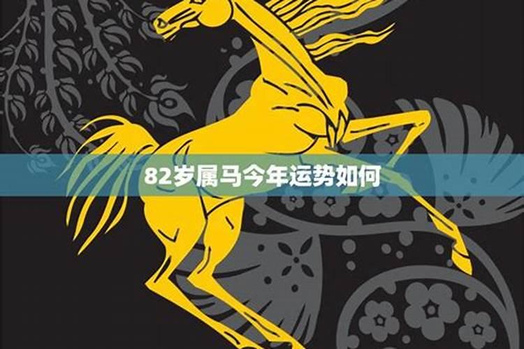 属马今年运势2021运势