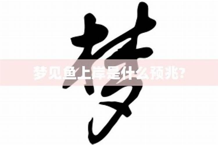 梦见鱼上岸是什么意思周公解梦