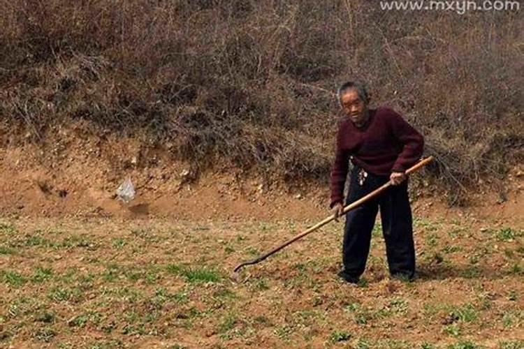 梦见挖地是什么意思,预兆好吗周公解梦