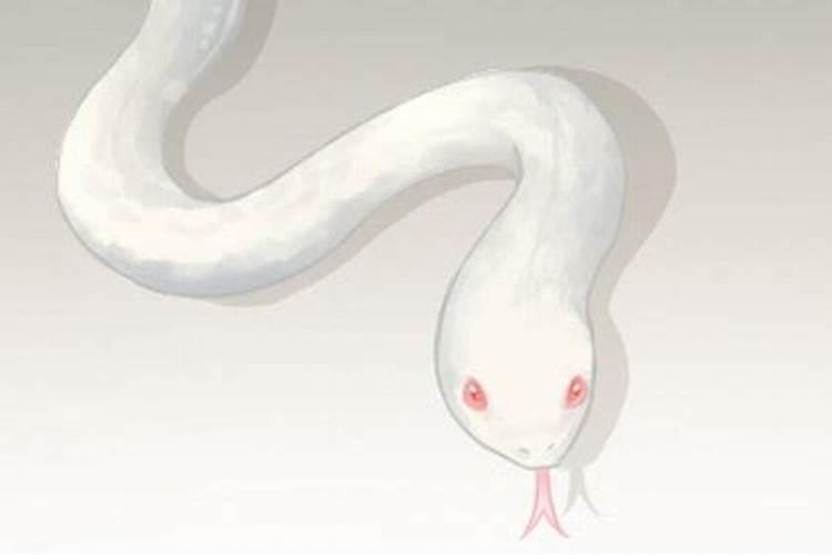 胎梦梦到蛇是什么意思