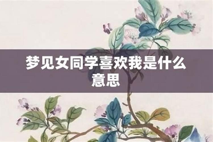 梦到小学的女同学喜欢我了