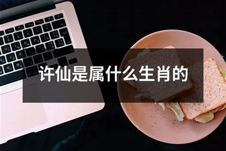 许仙属什么生肖动物