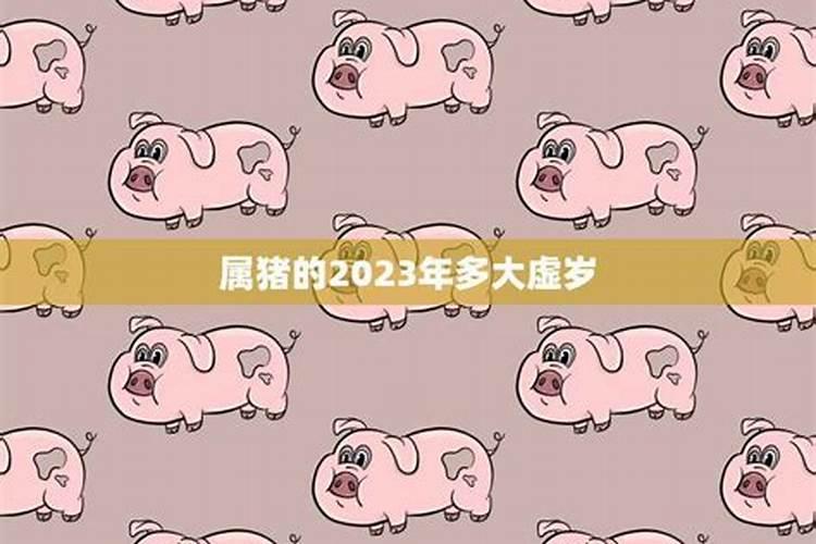 2017属猪几岁