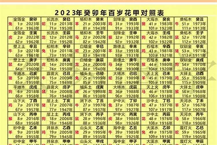 十二生肖49个数字表