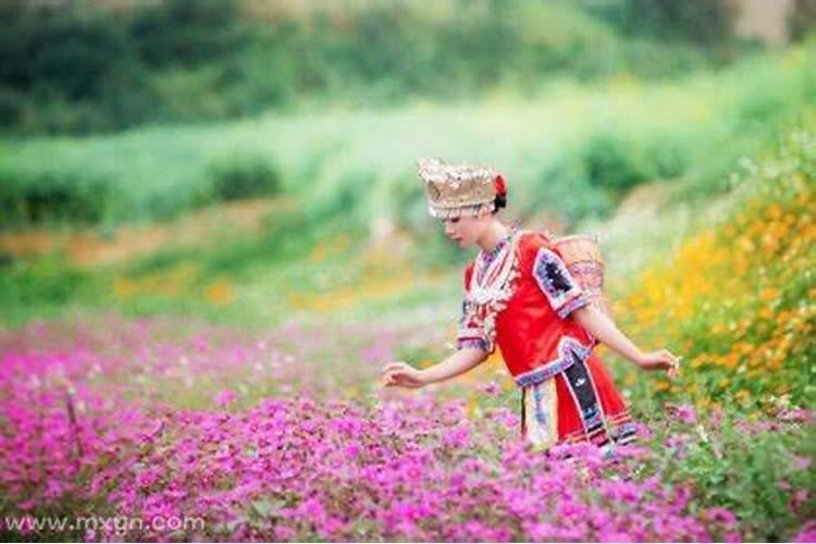 女人梦到采花是什么意思啊