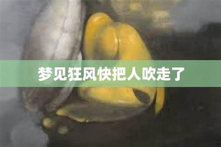 女人梦见狂风把自己吹倒