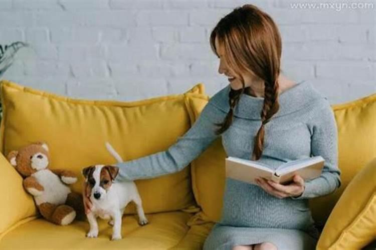 孕妇梦见狗亲自己是什么意思