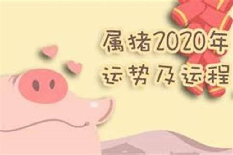 属猪人2023年运势运程