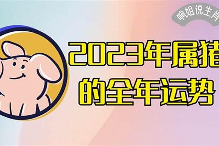 2023年属猪人全年运势如何