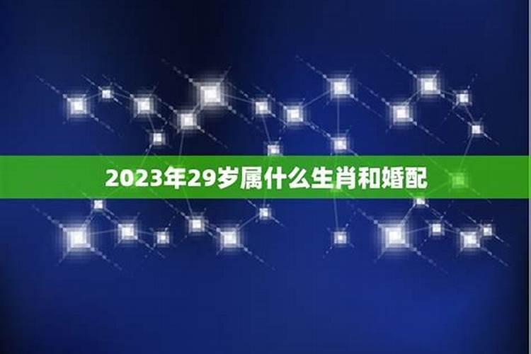 今年29岁应该属什么