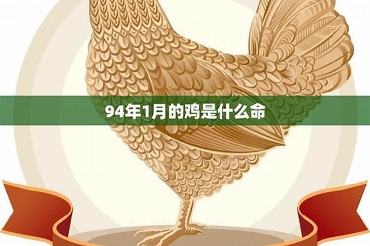 81年的鸡是什么命五行属什么缺什么