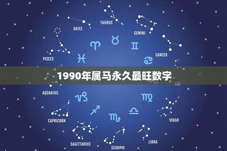 属马人的旺财数字