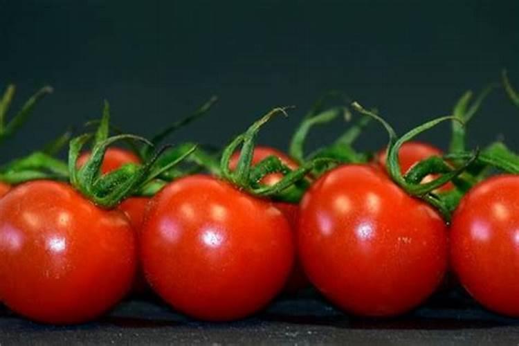 梦到吃西红柿是什么意思周公解梦女人