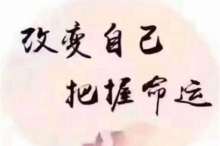 为什么属羊被嫌弃