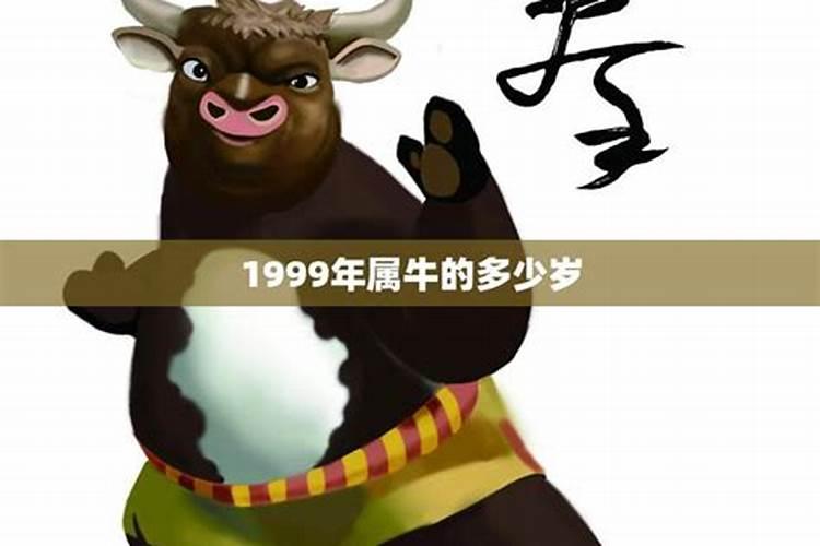 属牛的多大年龄2021年出生