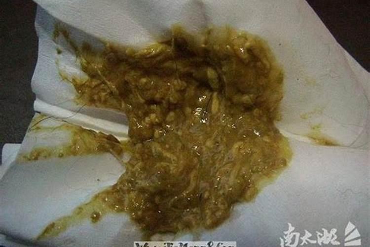 已婚女人梦见掉进粪坑身上有屎让老公拉起来了