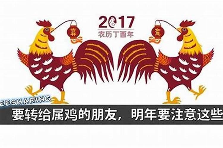 今年是什么年本命年是多少岁