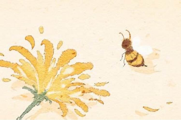 梦见黄色蜜蜂