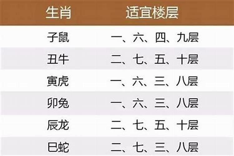 十二生肖住几楼好