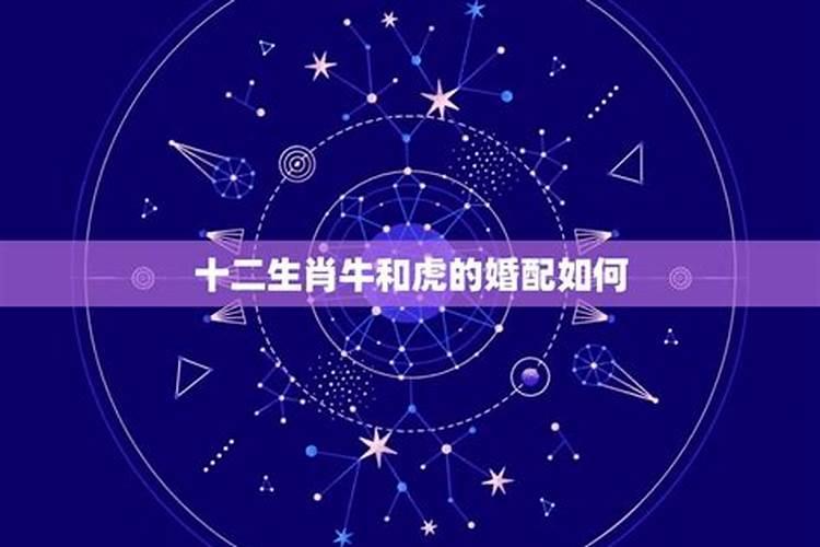 12月22什么星座