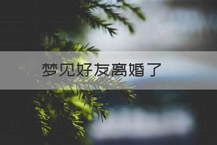 梦见亲戚离婚了,又耍朋友了