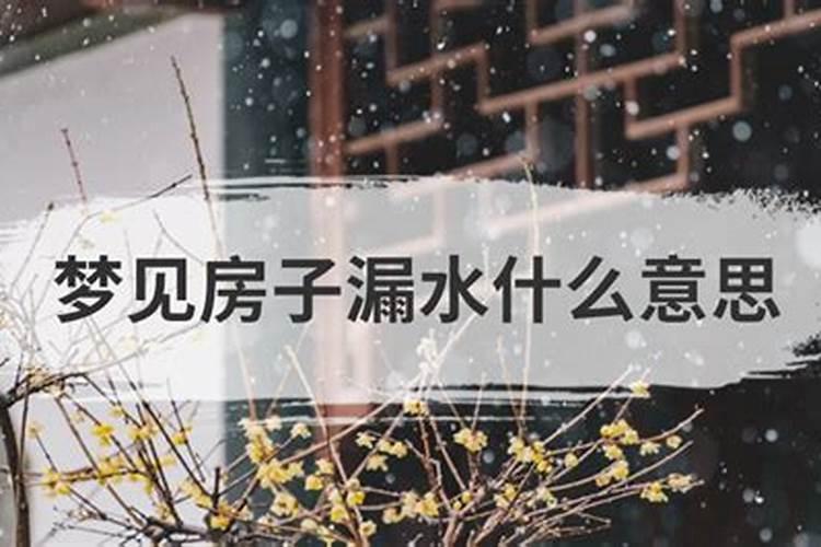 梦到房子下雨