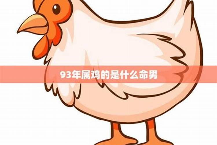 属鸡29岁什么命