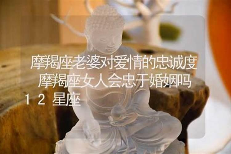 摩羯男会养老婆吗