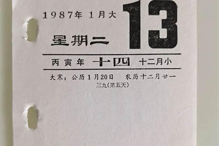 1987年1月13日五行属什么