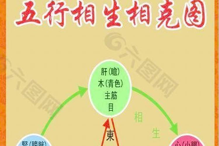 梦见白猫是什么预兆