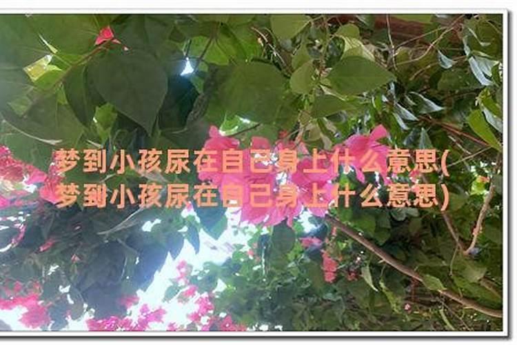 做梦梦见小孩拉尿自己身上