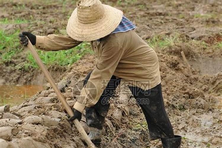 女人梦见自己在挖土