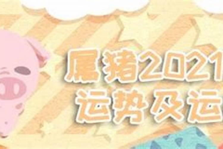 属猪2021每月运势完整版