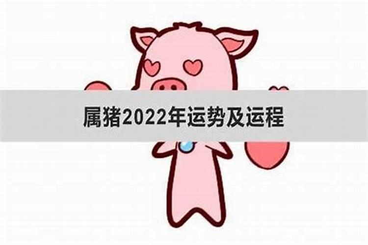 属猪2021每月运势完整版